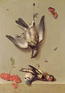 Ainda vida de aves mortas e cerejas, 1712